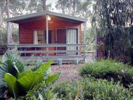 A Maze N Things Holiday Park - Accommodation Mount Tamborine 0