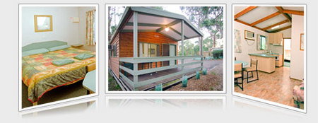A Maze N Things Holiday Park - Accommodation Mount Tamborine 5