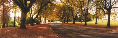 La Trobe At Beechworth - Accommodation Mount Tamborine 0