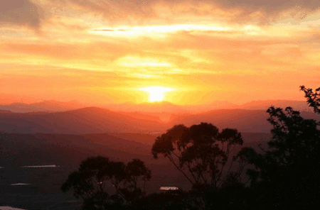 Avocado Sunset - Accommodation Mount Tamborine