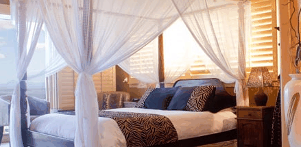 Avocado Sunset - Accommodation Mount Tamborine 2