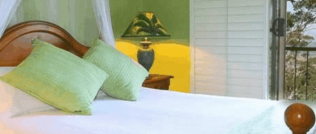 Avocado Sunset - Accommodation Mount Tamborine 3