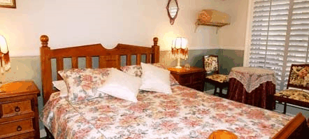 Avocado Sunset - Accommodation Mount Tamborine 5