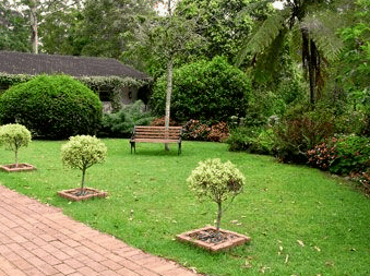 Tall Trees Motel - Accommodation Mount Tamborine 2