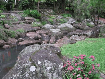 Tall Trees Motel - Accommodation Mount Tamborine 3