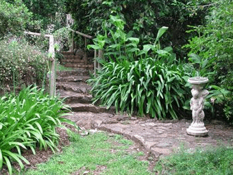 Tall Trees Motel - Accommodation Mount Tamborine 4