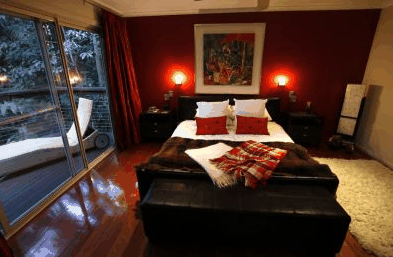 Songbirds Rainforest Retreat - Accommodation Mount Tamborine 4