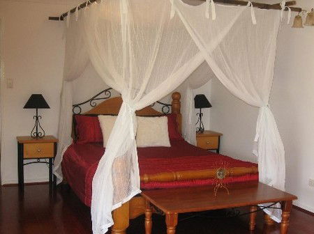Attunga Park Country Retreat - Accommodation Mount Tamborine 4