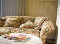 The Kosy Koala - Accommodation Mount Tamborine 1