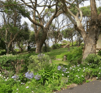 Anchlia Waterfront Cottage - Accommodation Mount Tamborine 2