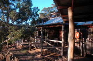 Evedon Park Bush Resort - Accommodation Mount Tamborine 1