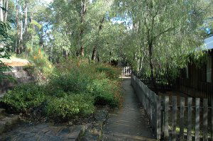 Evedon Park Bush Resort - Accommodation Mount Tamborine 2
