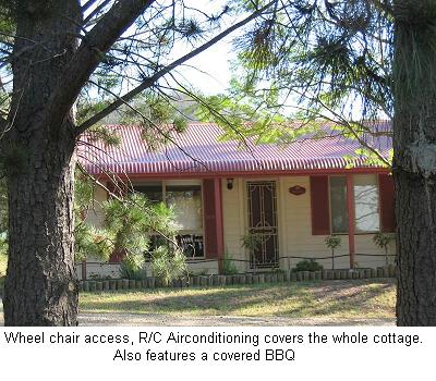 Glen Eden Cottages - Accommodation Mount Tamborine 1