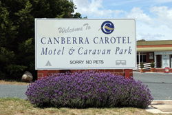 Canberra Carotel Motel - Accommodation Mount Tamborine 0