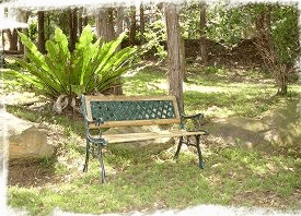 Lorikeet Cottage - Accommodation Mount Tamborine 3