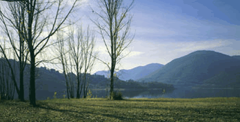 Ashton Townhouse Motel & Suites Tumut - Accommodation Mount Tamborine 3