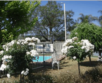 Aromet Motor Inn - Accommodation Mount Tamborine 5