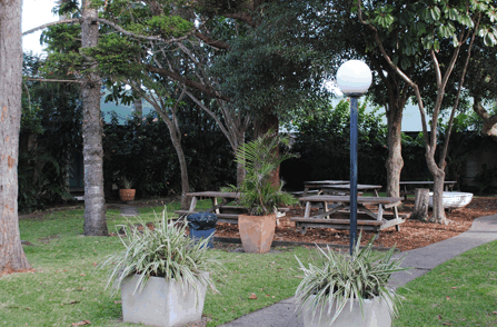 Tea Gardens Hotel Motel - Accommodation Mount Tamborine 4
