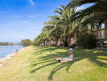 Riverbreeze Tourist Park - Accommodation Mount Tamborine 2