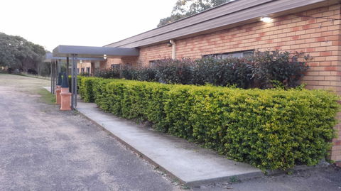 AA Hilldrop Motor Inn - Accommodation Mount Tamborine 4