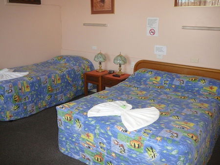 Civic Motel Grafton - Accommodation Mount Tamborine 2