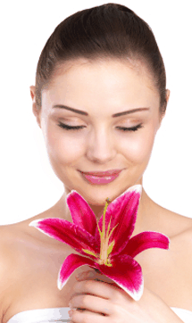 Sorbet Day Spa - Accommodation Mount Tamborine 0