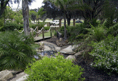 King Carnival - Accommodation Mount Tamborine 1