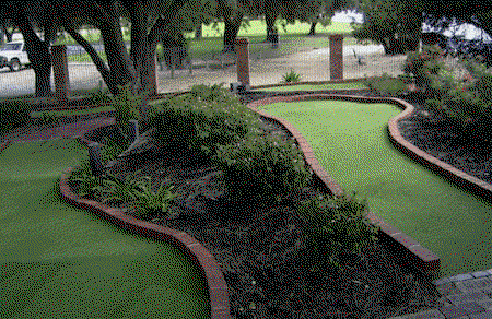 King Carnival - Accommodation Mount Tamborine 2