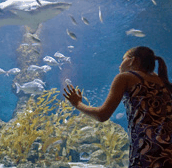 The Aquarium Of Western Australia - Accommodation Mount Tamborine 0