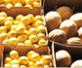 Brisbane Markets - Accommodation Mount Tamborine 0