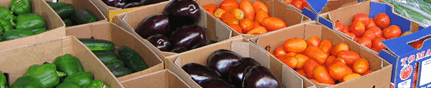 Brisbane Markets - Accommodation Mount Tamborine 3
