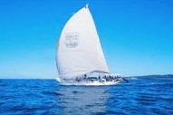 Manly Harbour Village - Accommodation Mount Tamborine