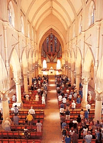 The Cathedral Of Saint Stephen - Accommodation Mount Tamborine 2