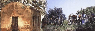 St Helena Island - Accommodation Mount Tamborine 1