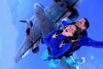 Simply Skydive - Accommodation Mount Tamborine 2