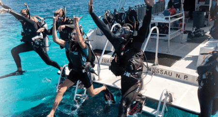 Snorkel Safari Brisbane - Accommodation Mount Tamborine
