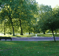 Beth Boyd Park - Accommodation Mount Tamborine