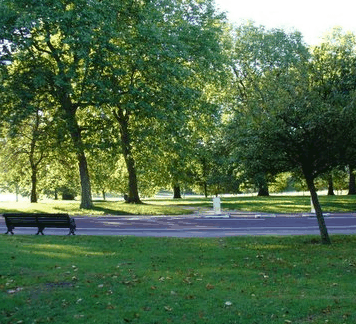 Riverdale Park - Accommodation Mount Tamborine