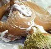 Exotique Massage - Accommodation Mount Tamborine