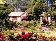  Accommodation Mount Tamborine