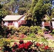 Delvin Health Retreat - Accommodation Mount Tamborine