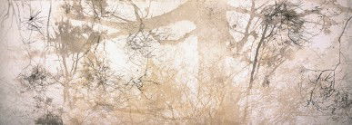 Dianne Tanzer Gallery & Projects - Accommodation Mount Tamborine 3