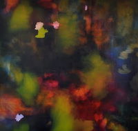 Carbon Black Gallery - Accommodation Mount Tamborine