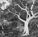 Tacit Contemporary Art - Accommodation Mount Tamborine