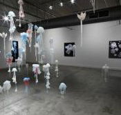 Nellie Castan Gallery - Accommodation Mount Tamborine