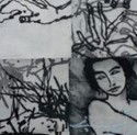 PG Printmaker Gallery - Accommodation Mount Tamborine 0