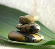 The Nature Of Balance - Accommodation Mount Tamborine 0