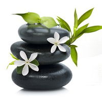 Tea House Spa Sauna - Accommodation Mount Tamborine