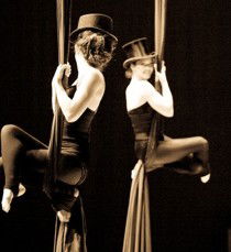 National Institute Of Circus Arts (NICA) - Accommodation Mount Tamborine 1
