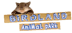 Book Bonnells Bay NSW Attractions Accommodation Mount Tamborine Accommodation Mount Tamborine